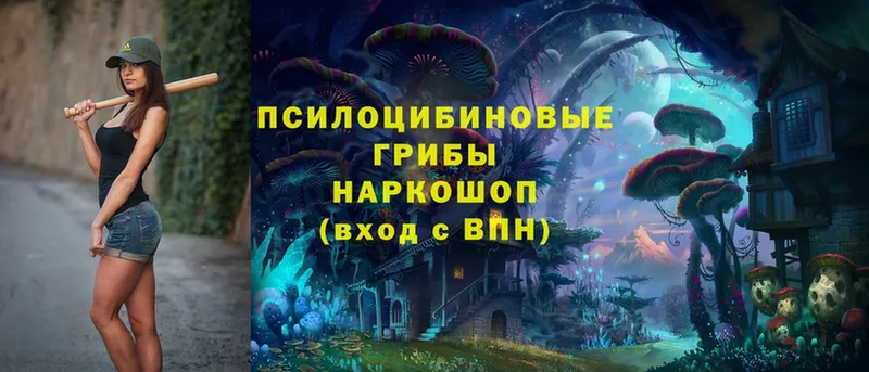 Псилоцибиновые грибы прущие грибы  хочу наркоту  сайты даркнета формула  Северодвинск 